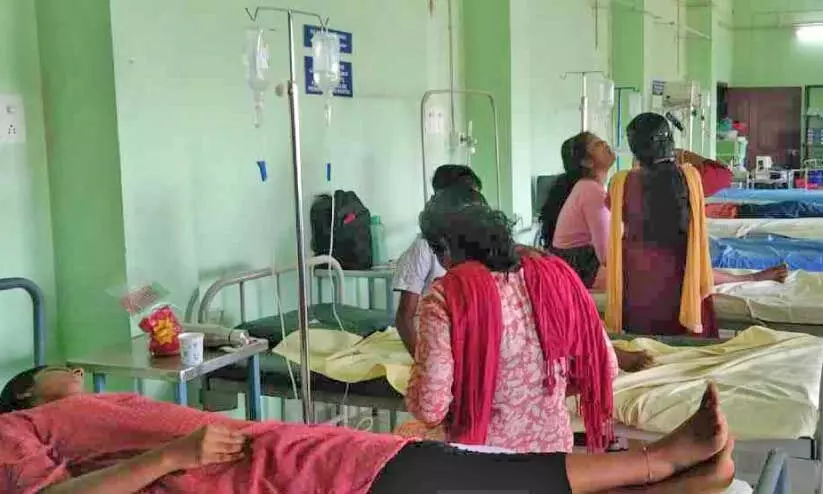 food poison food poison