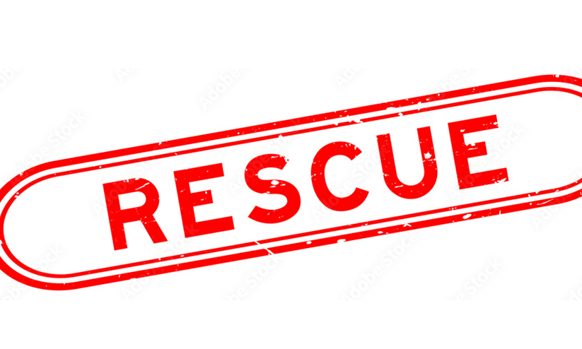 rescue rescue