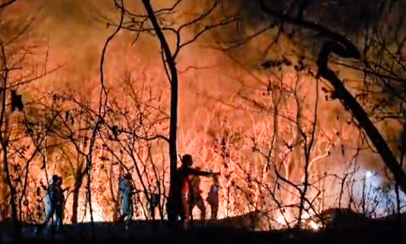 fire at idukki vellilamparappu