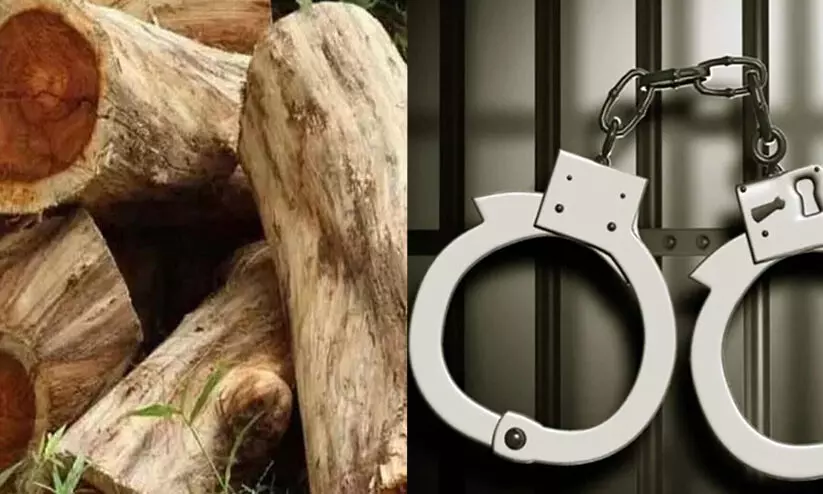 സുഗന്ധഗിരി മരംകൊള്ള: വനം വകുപ്പ് ഉദ്യോഗസ്ഥരെ അറസ്റ്റു ചെയ്യണമെന്ന് പ്രകൃതി സംരക്ഷണ സമിതി സുഗന്ധഗിരി മരംകൊള്ള: വനം വകുപ്പ് ഉദ്യോഗസ്ഥരെ അറസ്റ്റു ചെയ്യണമെന്ന് പ്രകൃതി സംരക്ഷണ സമിതി