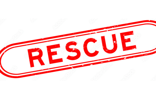 rescue rescue