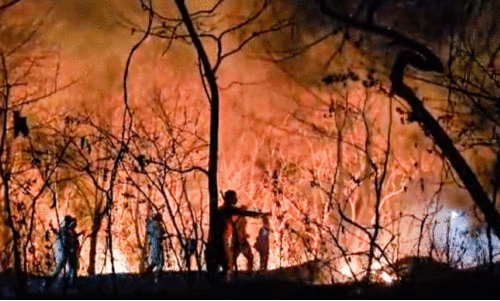 fire at idukki vellilamparappu
