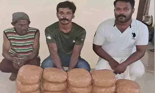 വീട്ടിൽ സൂക്ഷിച്ച 40 കിലോ കഞ്ചാവ് പിടിച്ചെടുത്തു