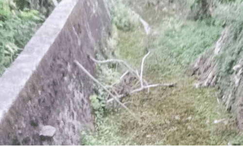 ക​ടു​ത്ത വ​ര​ൾ​ച്ച​യി​ൽ ത​ള​ർ​ന്ന്​ കാ​ർ​ഷി​ക മേ​ഖ​ല; നീരൊഴുക്ക്​ തടസ്സപ്പെട്ട്​ മോറത്തോട്​