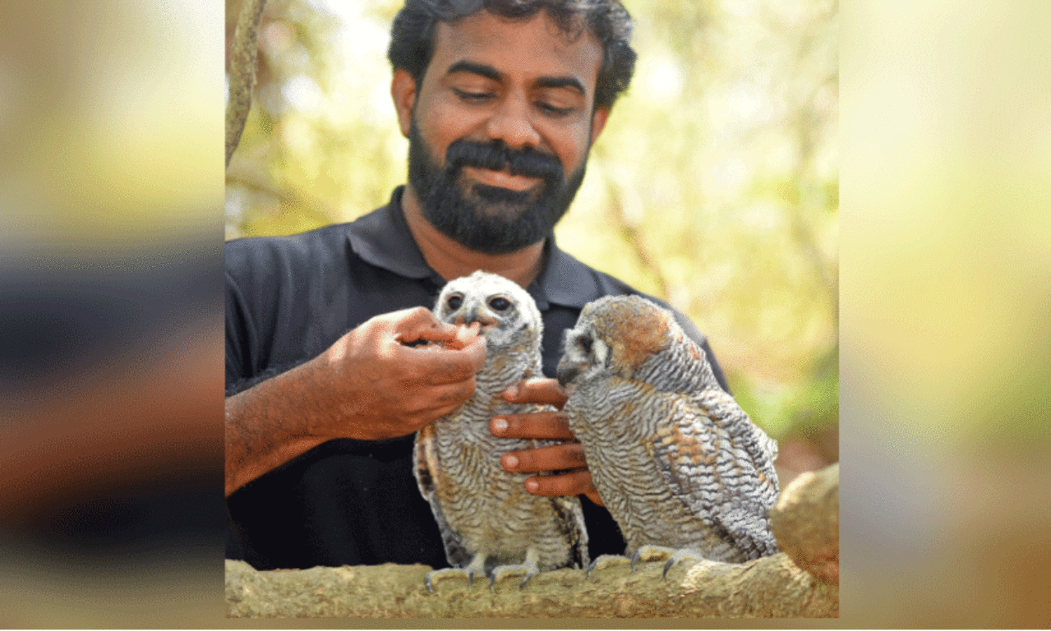 അ​വ​ശ​രാ​യ കാ​ല​ൻകോ​ഴി​ കുഞ്ഞു​ങ്ങ​ൾ​ക്ക് പു​തു​ജീ​വ​ൻ...