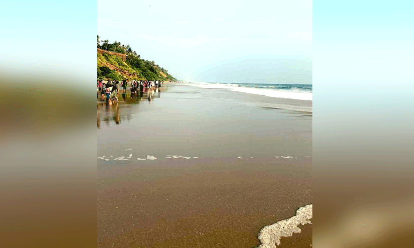 മുന്നറിയിപ്പ്​ അവഗണിച്ച് സഞ്ചാരികൾ; പാപനാശം കടലിൽ അപകടമരണങ്ങൾ തുടരുന്നു