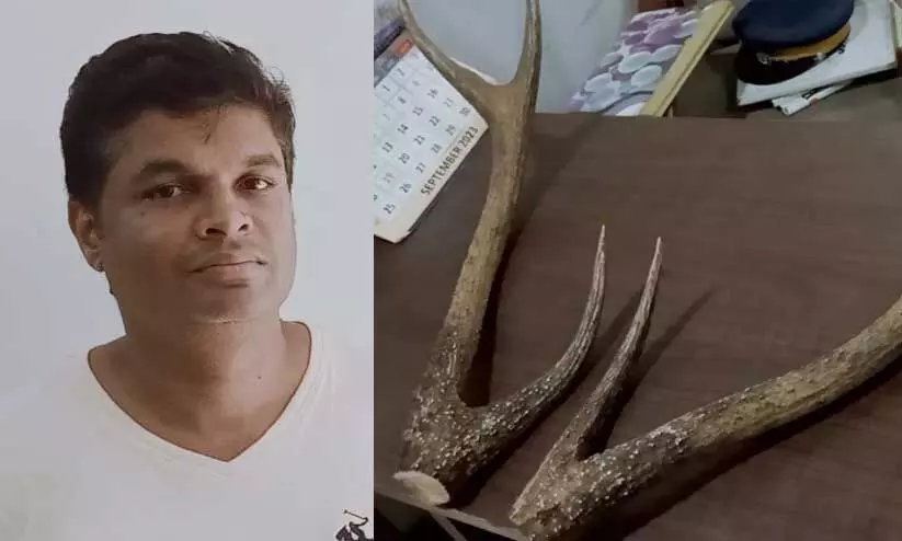 വേട്ടയാടിയ മ്ലാവിന്റെ കൊമ്പും കള്ളത്തോക്കുമായി ഒരാൾ പിടിയിൽ വേട്ടയാടിയ മ്ലാവിന്റെ കൊമ്പും കള്ളത്തോക്കുമായി ഒരാൾ പിടിയിൽ