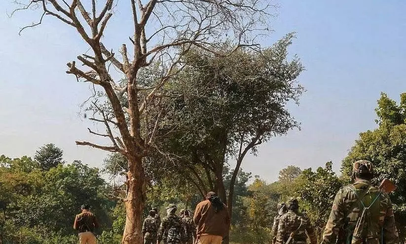 Three more Naxals were killed in an encounter with security forces in Chhattisgarh