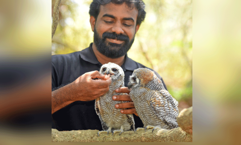 അവശരായ കാലൻകോഴി കുഞ്ഞുങ്ങൾക്ക് പുതുജീവൻ... അവശരായ കാലൻകോഴി കുഞ്ഞുങ്ങൾക്ക് പുതുജീവൻ...