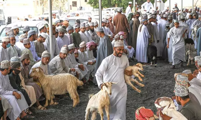 the view of bahla habta market