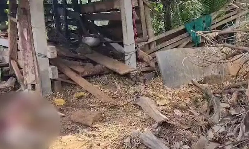 ഇടുക്കിയില്‍ അജ്ഞാത ജീവി; ആടിനെ കൊന്ന് ഭക്ഷിച്ചു