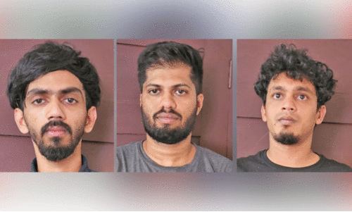 Massive drug hunt, Massive drug hunt,