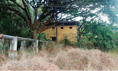 വെള്ളമില്ല; പേരശ്ശന്നൂർ ലിഫ്റ്റ് ഇറിഗേഷൻ പദ്ധതി പ്രവർത്തനം വൈകുന്നു വെള്ളമില്ല; പേരശ്ശന്നൂർ ലിഫ്റ്റ് ഇറിഗേഷൻ പദ്ധതി പ്രവർത്തനം വൈകുന്നു