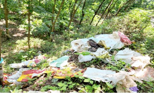 റോഡ് നീളെ മാലിന്യം തള്ളി സാമൂഹികവിരുദ്ധർ