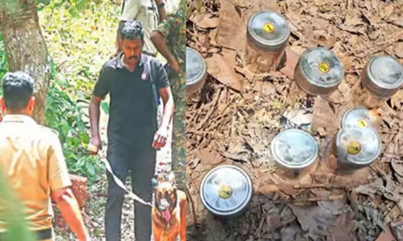 പാനൂർ ബോംബ് സ്ഫോടനം: അറസ്റ്റ് ചെയ്തത് സംഭവത്തിൽ പങ്കുണ്ടെന്ന് സംശയമുള്ളവരെയെന്ന് പൊലീസ് പാനൂർ ബോംബ് സ്ഫോടനം: അറസ്റ്റ് ചെയ്തത് സംഭവത്തിൽ പങ്കുണ്ടെന്ന് സംശയമുള്ളവരെയെന്ന് പൊലീസ്