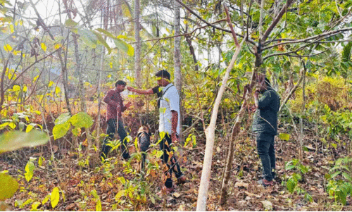 ആയുധങ്ങൾക്കായി രണ്ടാം ദിവസവും പൊലീസിന്‍റെ പരിശോധന