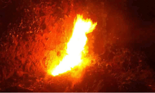 പ​ട​ക്കം പൊ​ട്ടി​ക്കു​ന്ന​തി​നി​ടെ അ​ടി​ക്കാ​ടി​ന് തീ​പി​ടി​ച്ചു