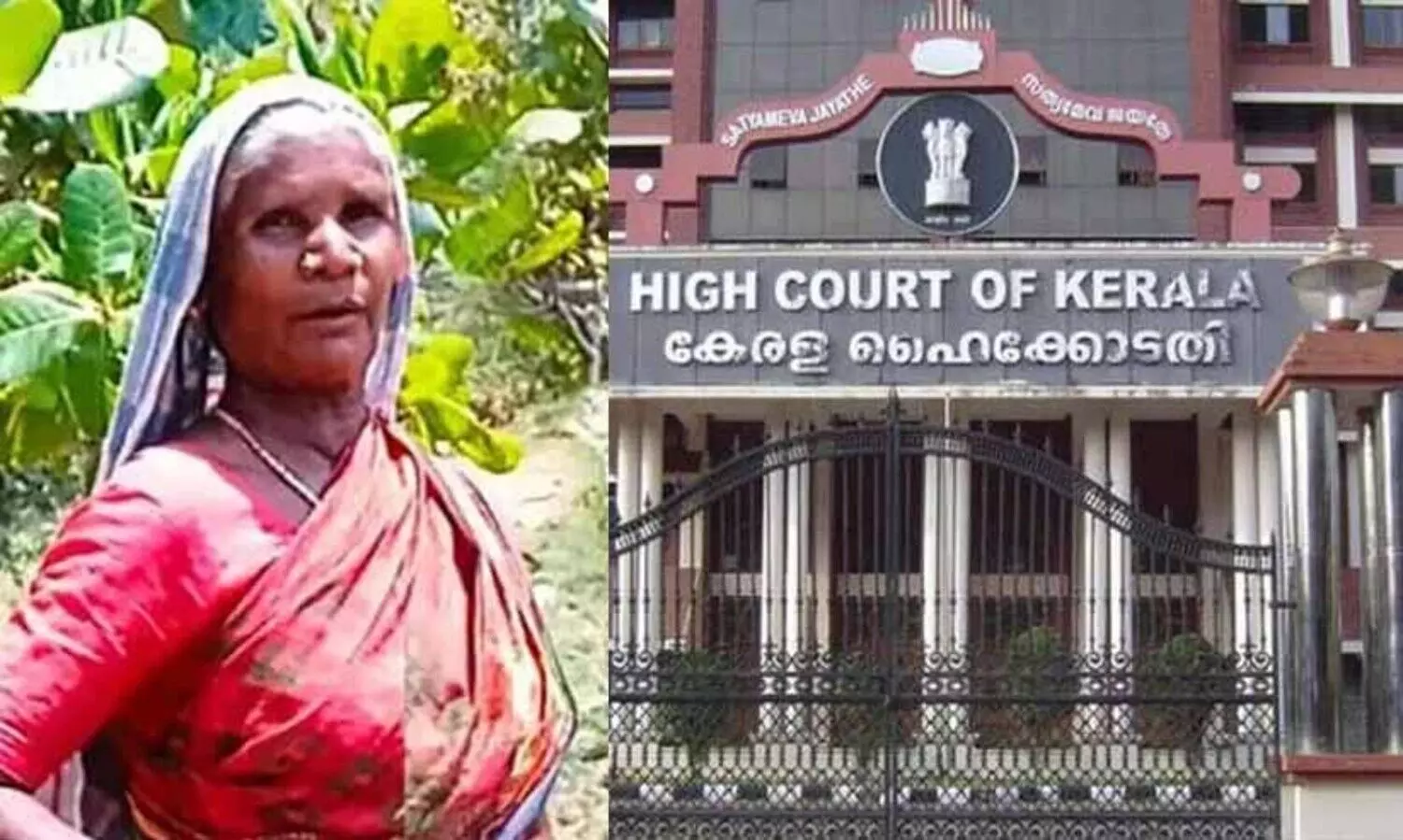 ഭൂമിക്ക് വേണ്ടിയുള്ള നിയമ പോരാട്ടവുമായി അട്ടപ്പാടിയിലെ രണ്ട് ആദിവാസി അമ്മമാർ ഹൈകോടതിയിൽ