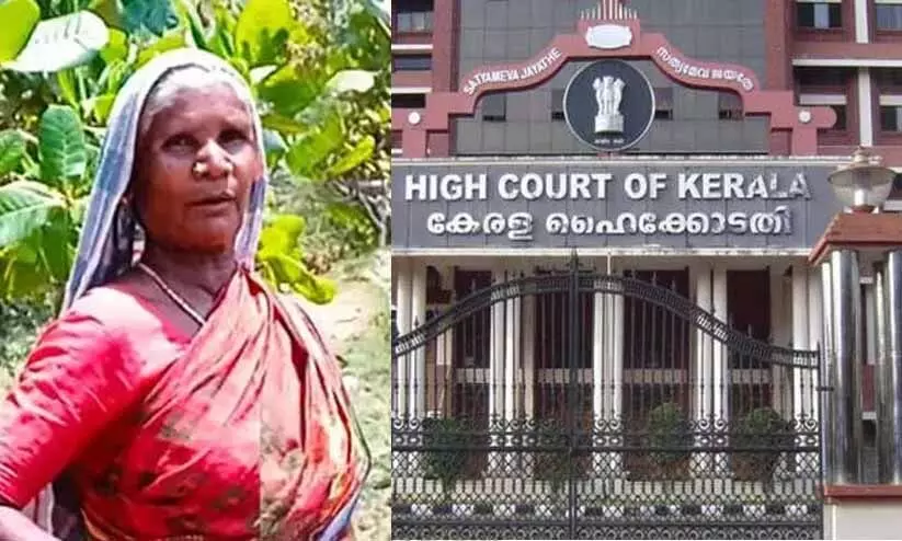 ഭൂമിക്ക് വേണ്ടിയുള്ള നിയമ പോരാട്ടവുമായി അട്ടപ്പാടിയിലെ രണ്ട് ആദിവാസി അമ്മമാർ ഹൈകോടതിയിൽ ഭൂമിക്ക് വേണ്ടിയുള്ള നിയമ പോരാട്ടവുമായി അട്ടപ്പാടിയിലെ രണ്ട് ആദിവാസി അമ്മമാർ ഹൈകോടതിയിൽ