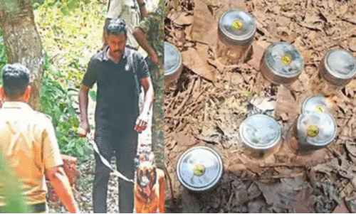 പാനൂർ ബോംബ് സ്ഫോടനം; പിന്നിൽ രാഷ്ട്രീയ ക്വട്ടേഷൻ സംഘത്തിന്റെ കുടിപ്പകയെന്ന്