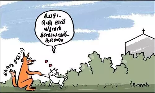 രൂപതാ സ്റ്റോറി