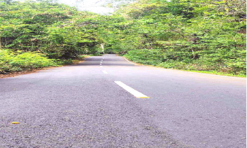 Kalaketti Forest Path Kalaketti Forest Path