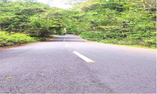 Kalaketti Forest Path Kalaketti Forest Path