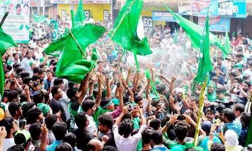 കൊടിനിറങ്ങൾ,   വിജയചിഹ്നങ്ങൾ