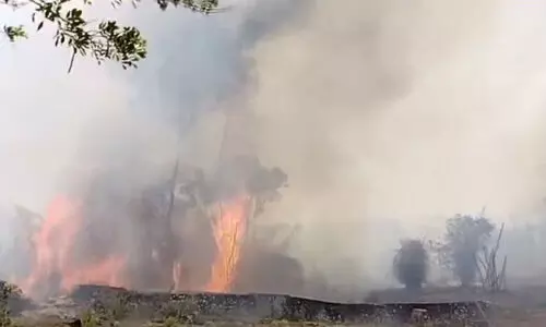 മുത്തങ്ങ വനമേഖലയിൽ കാട്ടുതീ