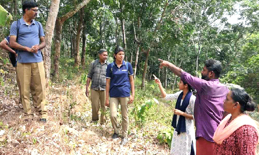 forest representatives