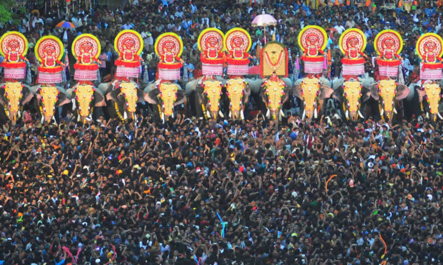 തൃശൂർ പൂരം: ആനകളുടെ 50 മീറ്റർ പരിധിയിൽ ആളുകൾ പാടില്ലെന്ന സർക്കുലർ പിൻവലിക്കുമെന്ന് മന്ത്രി