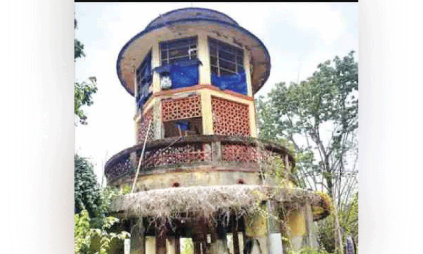 Watch Tower Watch Tower