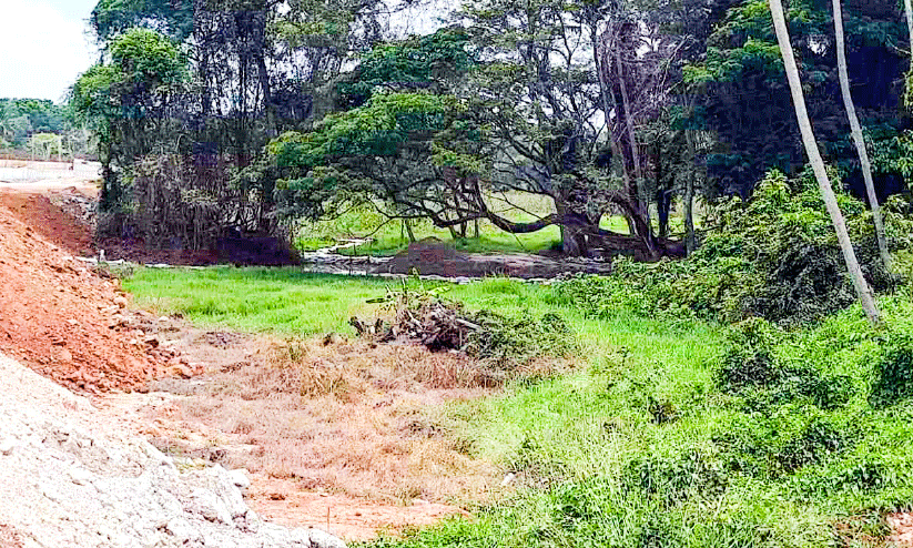 വ​യ​ൽ നി​ക​ത്തി​യ നി​ല​യി​ൽ