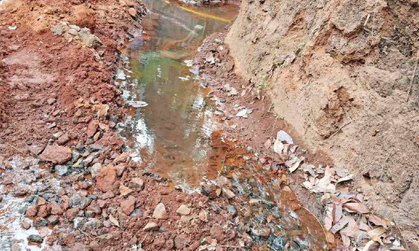 drinking water drinking water