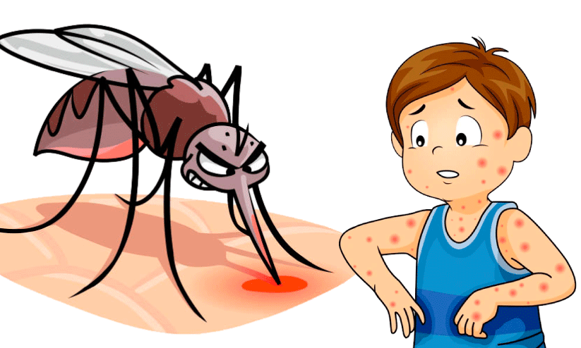 Heat illnesses Heat illnesses