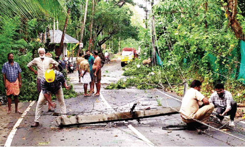 ഒ​ടി​ഞ്ഞു​വീ​ണ വൈ​ദ്യു​തി തൂ​ൺ