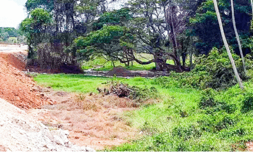 വ​യ​ൽ നി​ക​ത്തി​യ നി​ല​യി​ൽ