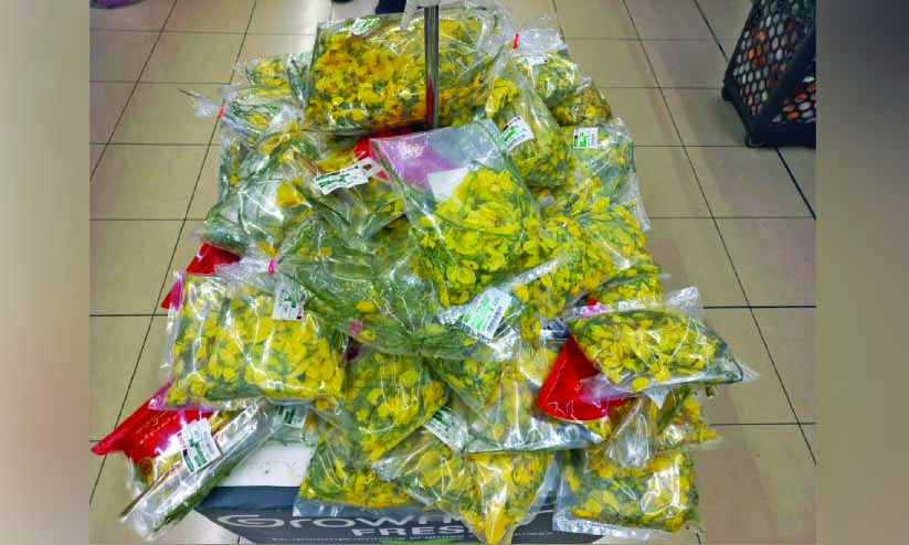 നാ​ളെ വി​ഷു; വ​ര​വേ​ൽ​ക്കാ​നൊ​രു​ങ്ങി മ​ല​യാ​ളി​ക​ൾ