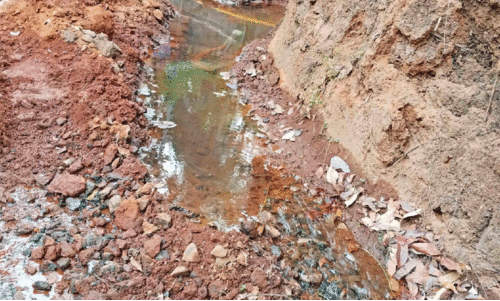 drinking water drinking water