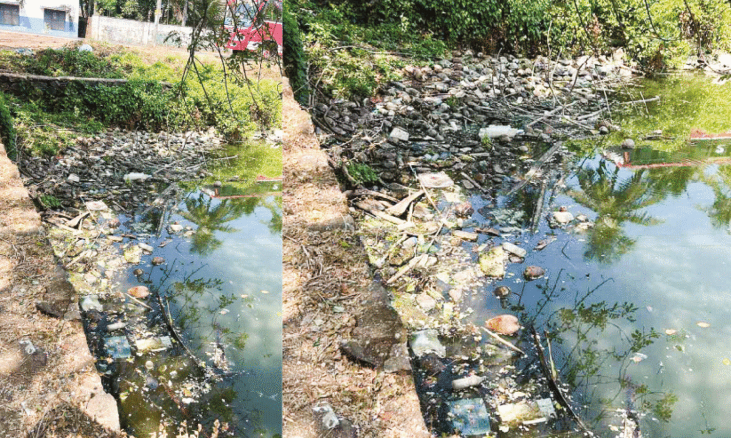 The pond is drowned in filth; How much is the upgrade?