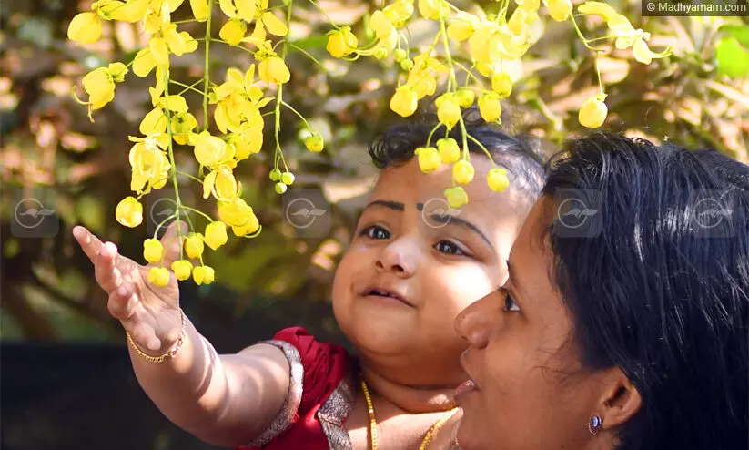 വിഷു ആശംസ നേർന്ന് മുഖ്യമന്ത്രിയും പ്രതിപക്ഷനേതാവും വിഷു ആശംസ നേർന്ന് മുഖ്യമന്ത്രിയും പ്രതിപക്ഷനേതാവും