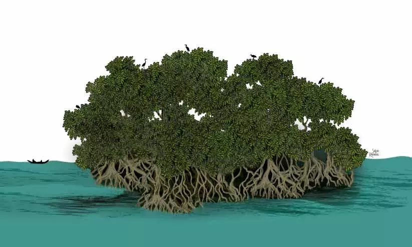 തപോമയിയുടെ അച്ഛൻ തപോമയിയുടെ അച്ഛൻ