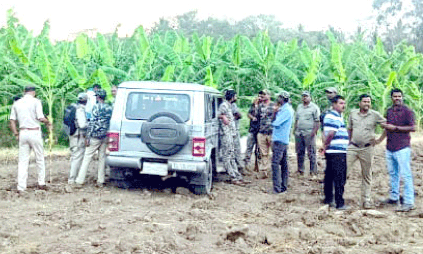 ഗു​ണ്ട​ൽ​പേ​ട്ടി​ൽ യു​വാ​വി​നെ ക​ടു​വ ആ​ക്ര​മി​ച്ചു