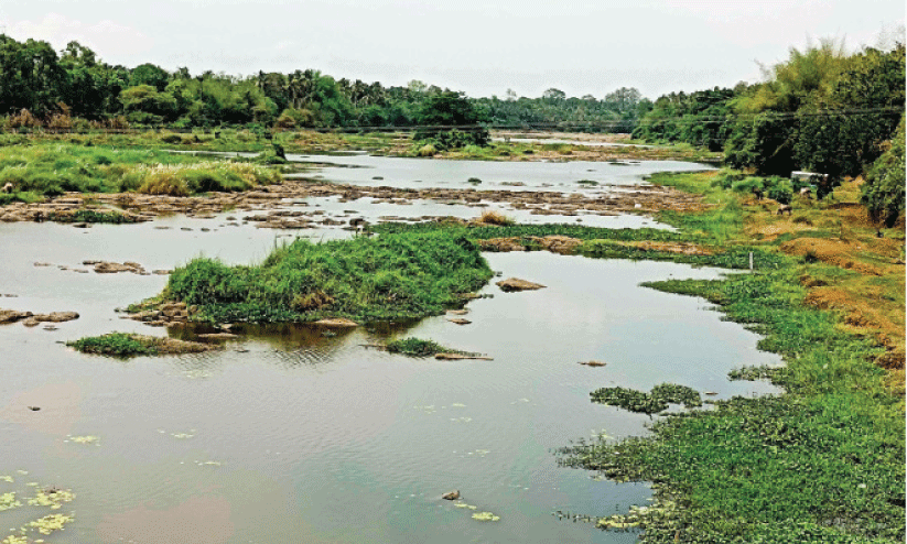 ക​ണ്ണീ​ർ​ച്ചാ​ലാ​യി ഭാ​ര​ത​പ്പു​ഴ