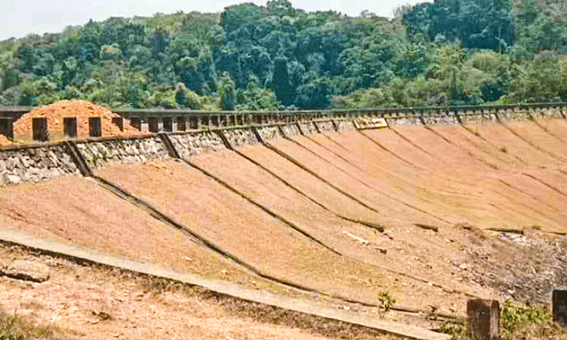 പള്ളംവെട്ടി എർത്ത് ഡാം പള്ളംവെട്ടി എർത്ത് ഡാം