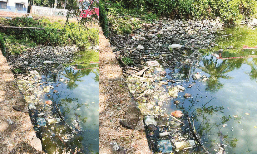 The pond is drowned in filth; How much is the upgrade?