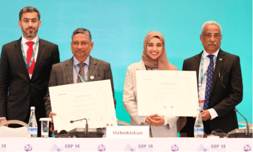 U.N. Recognizes Abu Dhabi