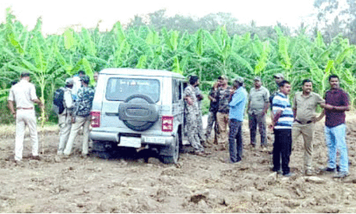 ഗു​ണ്ട​ൽ​പേ​ട്ടി​ൽ യു​വാ​വി​നെ ക​ടു​വ ആ​ക്ര​മി​ച്ചു