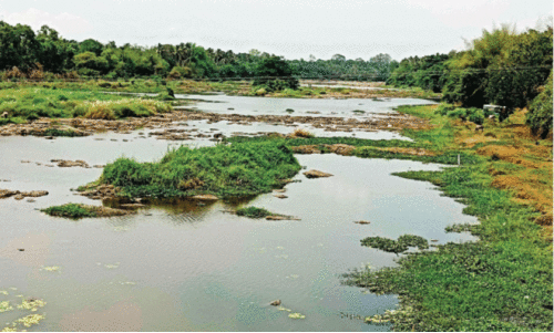 ക​ണ്ണീ​ർ​ച്ചാ​ലാ​യി ഭാ​ര​ത​പ്പു​ഴ