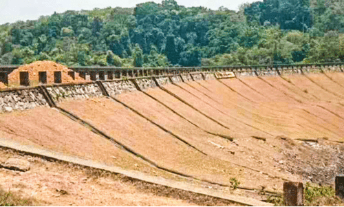 പ​ള്ളം​വെ​ട്ടി എ​ർ​ത്ത് ഡാം